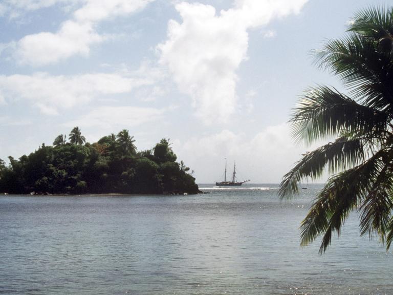 Palmenidylle auf Samoa mit Blick auf eine vorgelagerte Insel