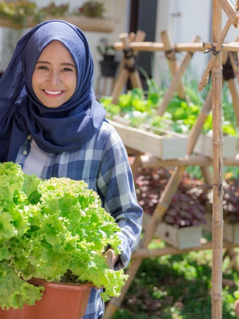 Eine junge Muslima hält eine Salatpflanze in die Kamera, im Hintergrund ein Stadtgarten