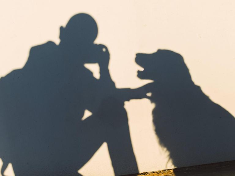 Auf einer Wand sind die Schatten von einem knieenden Mensch zu sehen, der ein Foto macht. Daneben der Schatten eines Hundes, den der Mann am Hals berührt.