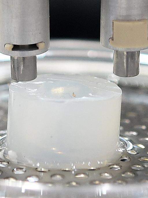 Einen 3D-Drucker, der zum Beispiel zum Konstruieren von Blutgefäßen aus gezüchteten körpereigenen Zellen dient, stellt ein Unternehmen auf der Doppelmesse Biotechnica/Labvolution 2015 in Hannover vor.