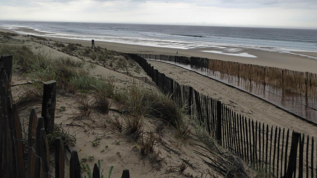Die Küstenlinie in Aquitanien / Südwestfrankreich verzeichnet inzwischen einen Rückgang von durchschnittlich zweieinhalb Metern pro Jahr. Die Forstbehörde pflanzt jeden Winter neuen Strandhafer, um die Dünen zu befestigen und vor Erosion durch den Wind zu schützen.