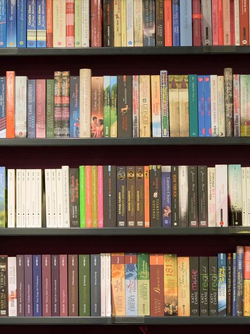 Bücherreihen, fotografiert am 17.02.2015 in einer Buchhandlung in Potsdam (Brandenburg).