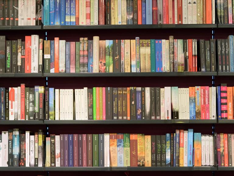 Bücherreihen, fotografiert am 17.02.2015 in einer Buchhandlung in Potsdam (Brandenburg).