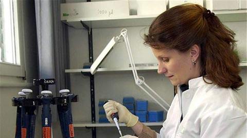 Eine Biologin bereitet Spuren für eine DNA-Analyse auf