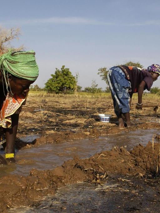 Frauen legen einen Graben an und bewässern auf deise Art und Weise ein Feld bei Kongussi (Burkina Faso, undatierte Aufnahme).