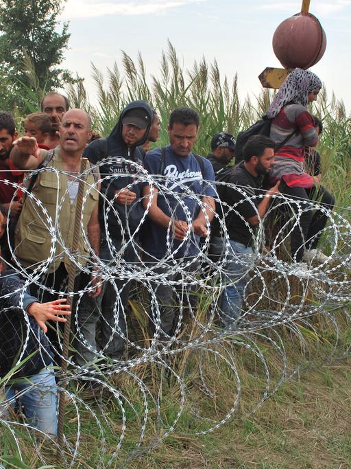 Flüchtlinge am provisorischen Grenzzaun zwischen Ungarn und Serbien
