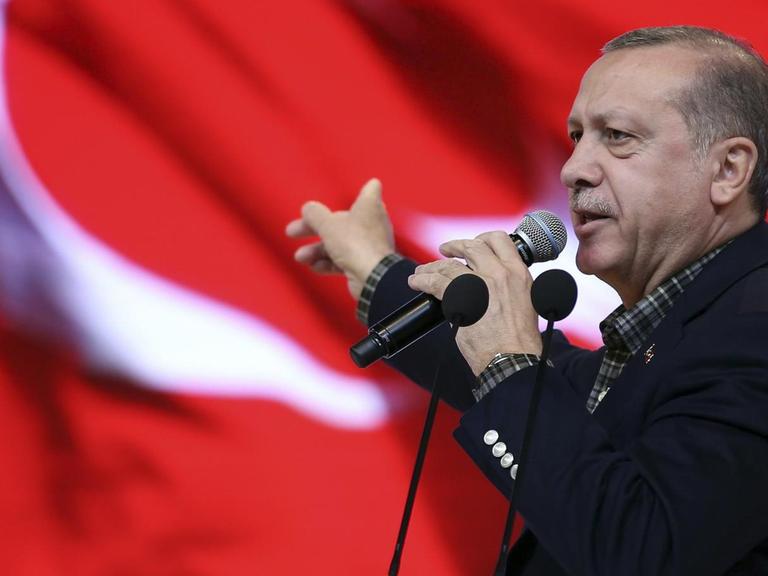 Der türkische Ministerpräsident Erdogan spricht in ein Mikrofon und zeit auf eine türkische Flagge hinter ihm.
