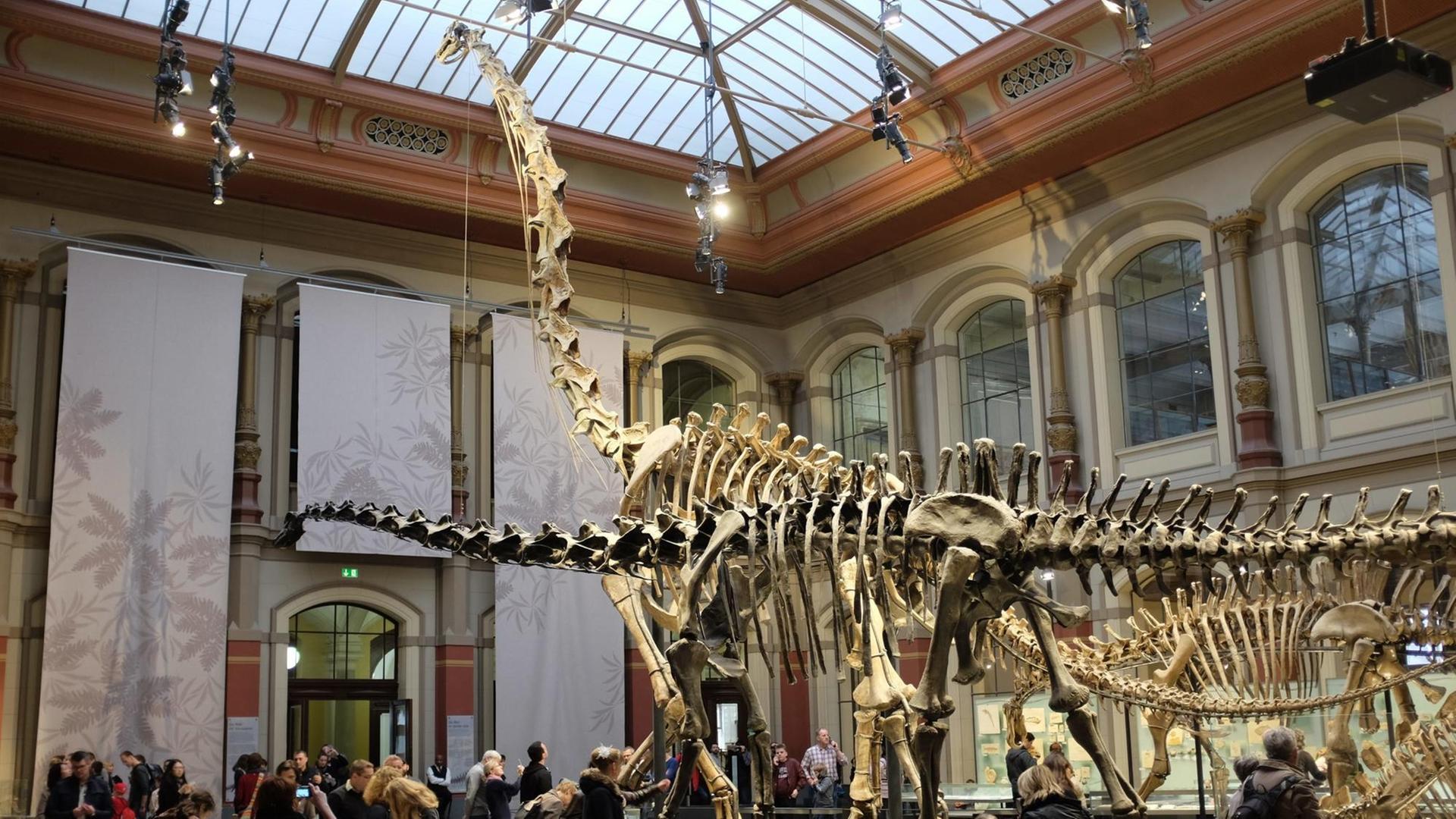Die große Ausstellungshalle mit dem Brachiosaurus im Naturkundemuseum in Berlin.
