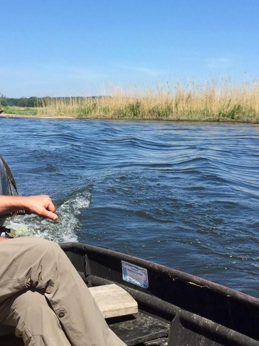 Der Fischer Wolfgang Schröder mit Sonnenhut in seinem Boot auf der Havel