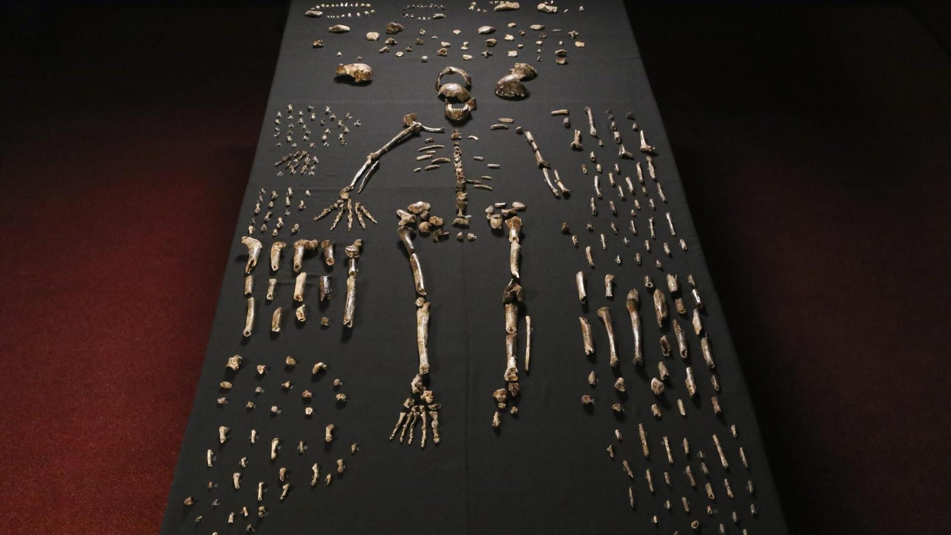 "Homo naledi": Die Knochenfunde in der Rising Star Höhle.