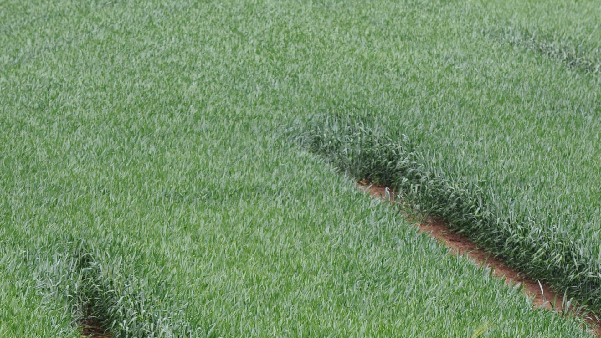 am (01.06.2010) in Stuttgart.
Foto: Marijan Murat   dpa/lsw