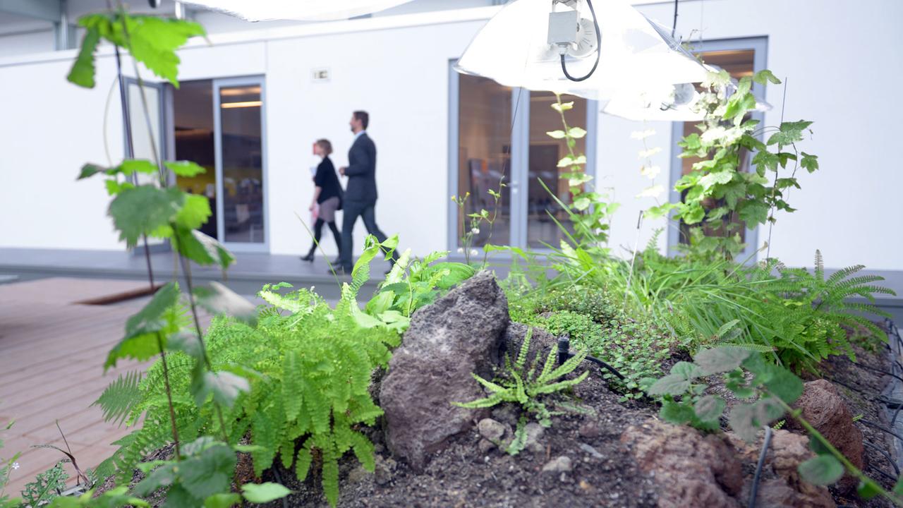 Kulturgeschichte Gibt es den jüdischen Garten?