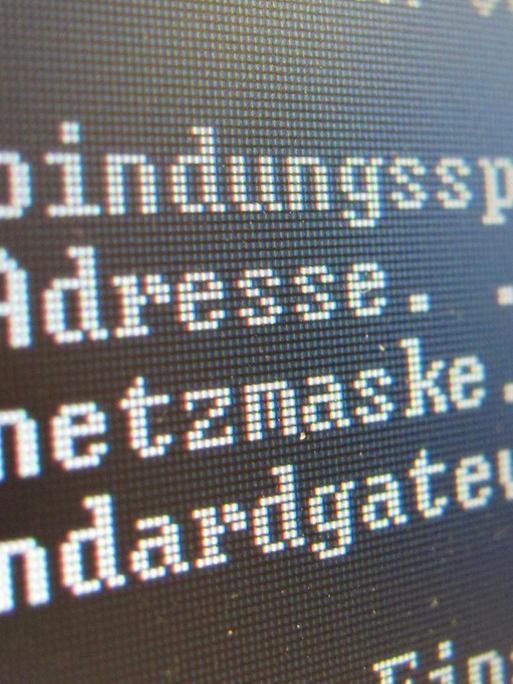 Auf einem Computerbildschirm ist am Donnerstag (03.02.2011) in Berlin der Schriftzug "IP-Adresse" zu lesen.