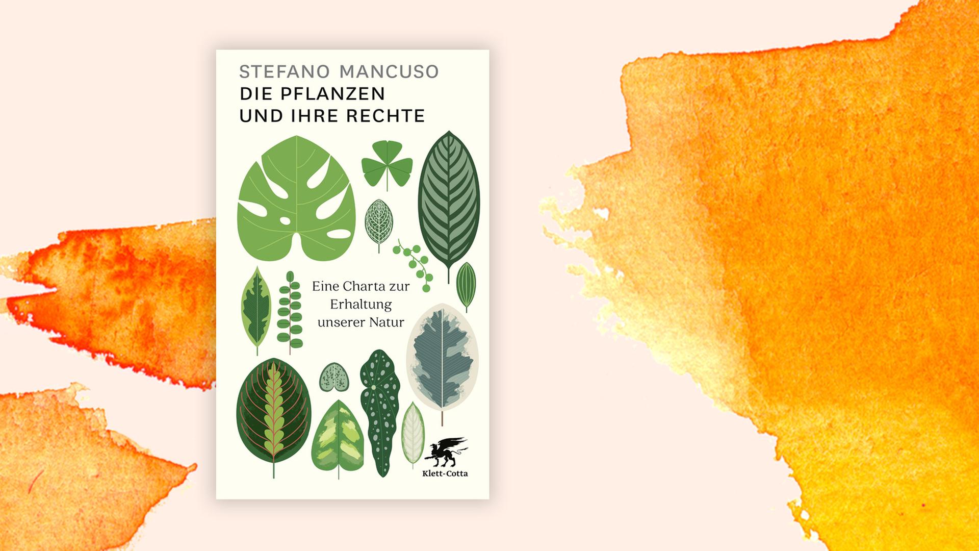 Cover von Stefano Mancuso "Die Pflanzen und ihre Rechte" vor orangenem Aquarell-Hintergrund
