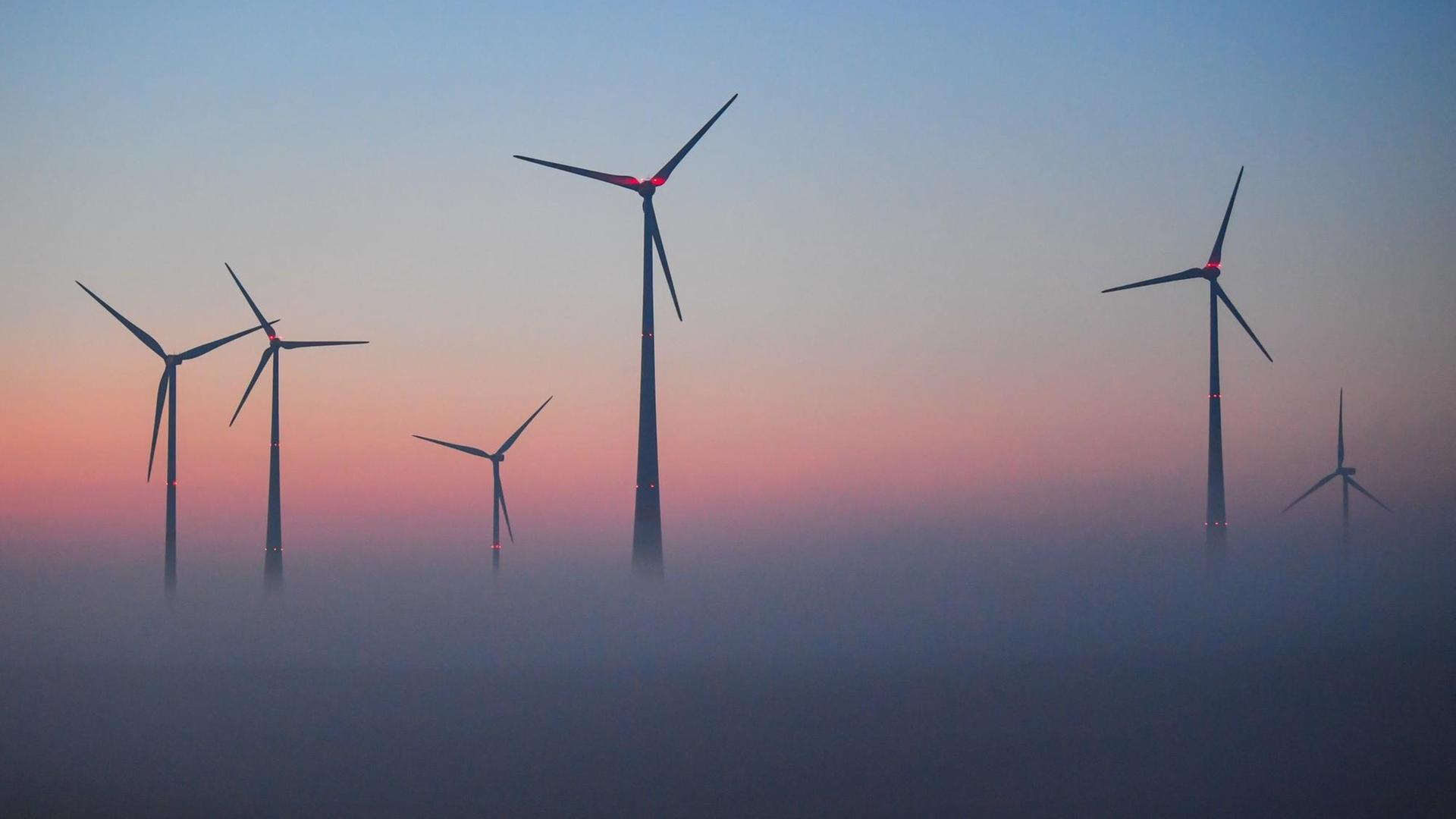 Vor dem farbenprächtigen Morgenhimmel ragen Windenergieanlagen aus dem Nebel.