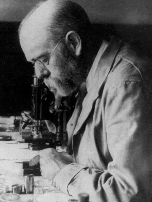 Der deutsche Arzt und Bakteriologe Robert Koch am Mikroskop in seinem Laboratorium in Kimberley, Südafrika.