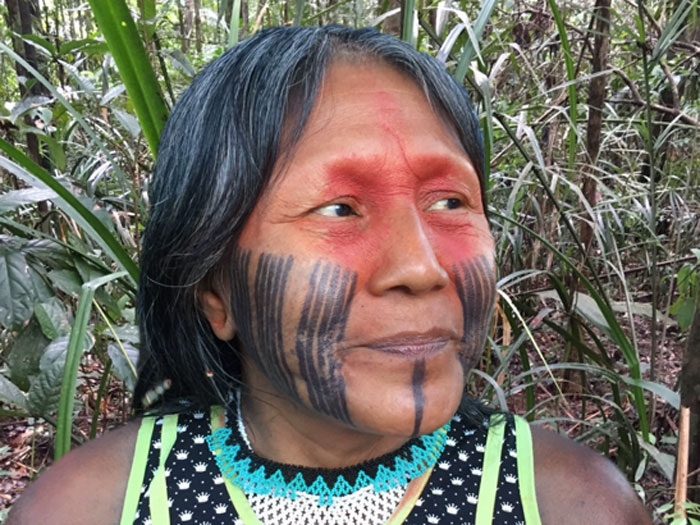 Indigene Frau des Kayapó Frau, im Gesicht mit schwarzen Streifen, um die Augenpartien rot bemalt.