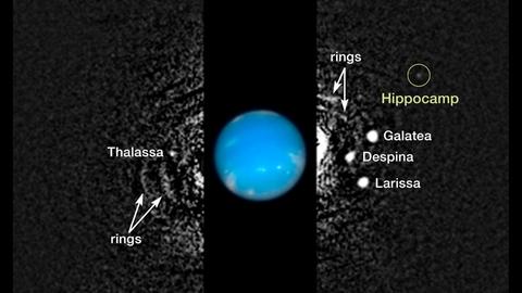 Der Neptunmond Hippocamp auf einer Aufnahme des Hubble-Weltraum-Teleskops