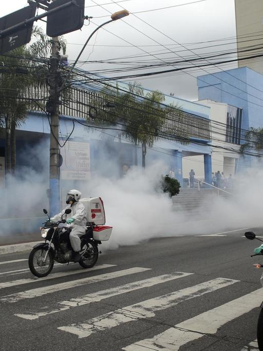 Sogenannte 'Motofogs' desinfizieren die Strassen in Brasilien, 31.März 2020.