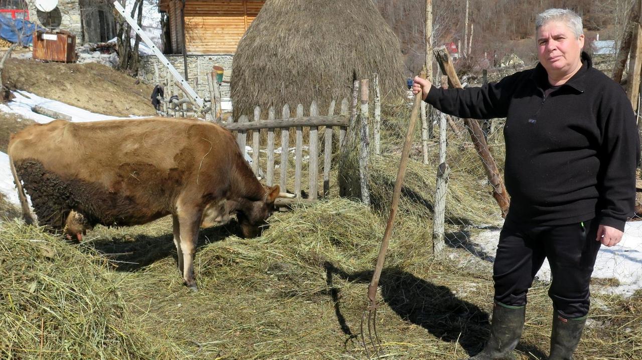 Eine der letzten "Schwurjungfrauen" Albaniens, Duni Grishaj, neben ihr eine Kuh
