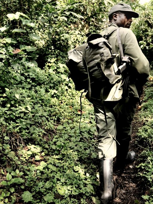 Ein bewaffneter Ranger im Virunga-Nationalpark in der Republik Kongo