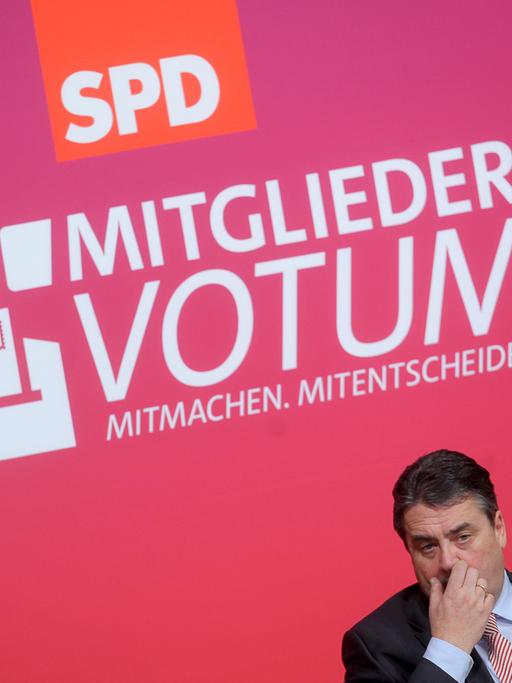 Der SPD-Parteivorsitzende Sigmar Gabriel spricht am 28.11.2013 in der Stadthalle in Hofheim am Taunus (Hessen).