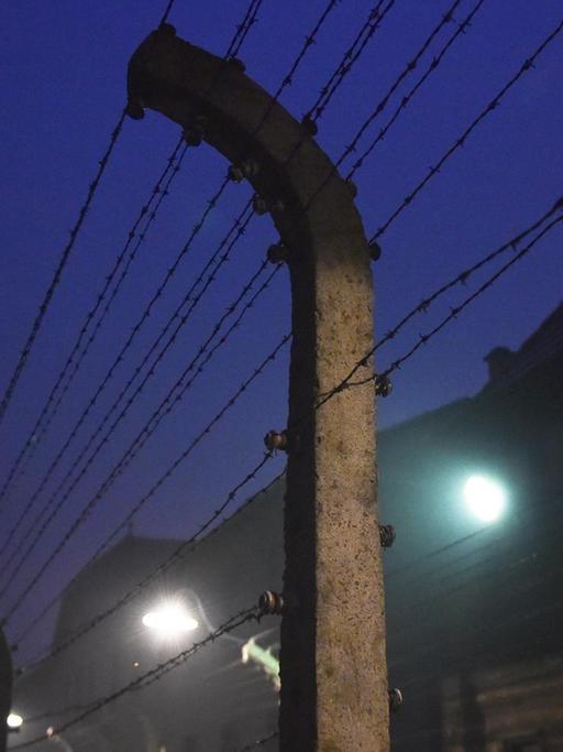 Das ehemalige Konzentrationslager Auschwitz-Birkenau in einer Aufnahme vom Januar 2018