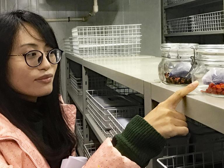 Chen Chuan steht in einem Kühlraum und deutet mit dem Finger auf zwei Gläser, in denen bunte Pflanzensamen eingelagert sind.