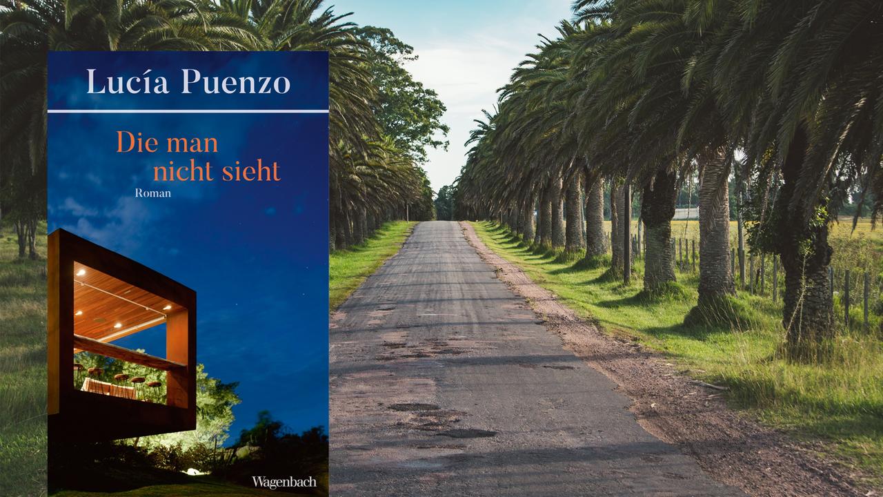 Das Cover von Lucía Puenzos "Die man nicht sieht" vor einem Hintergrundbild.