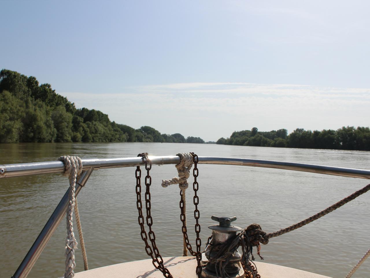 Sulina-Arm im Donaudelta vom Schiff aus.