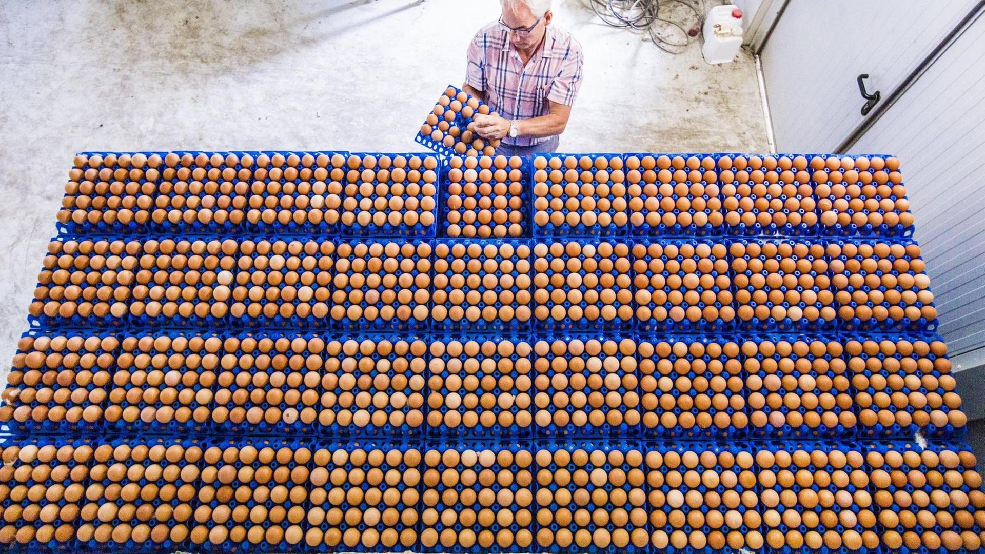 Mehrere Palletten mit Eiern