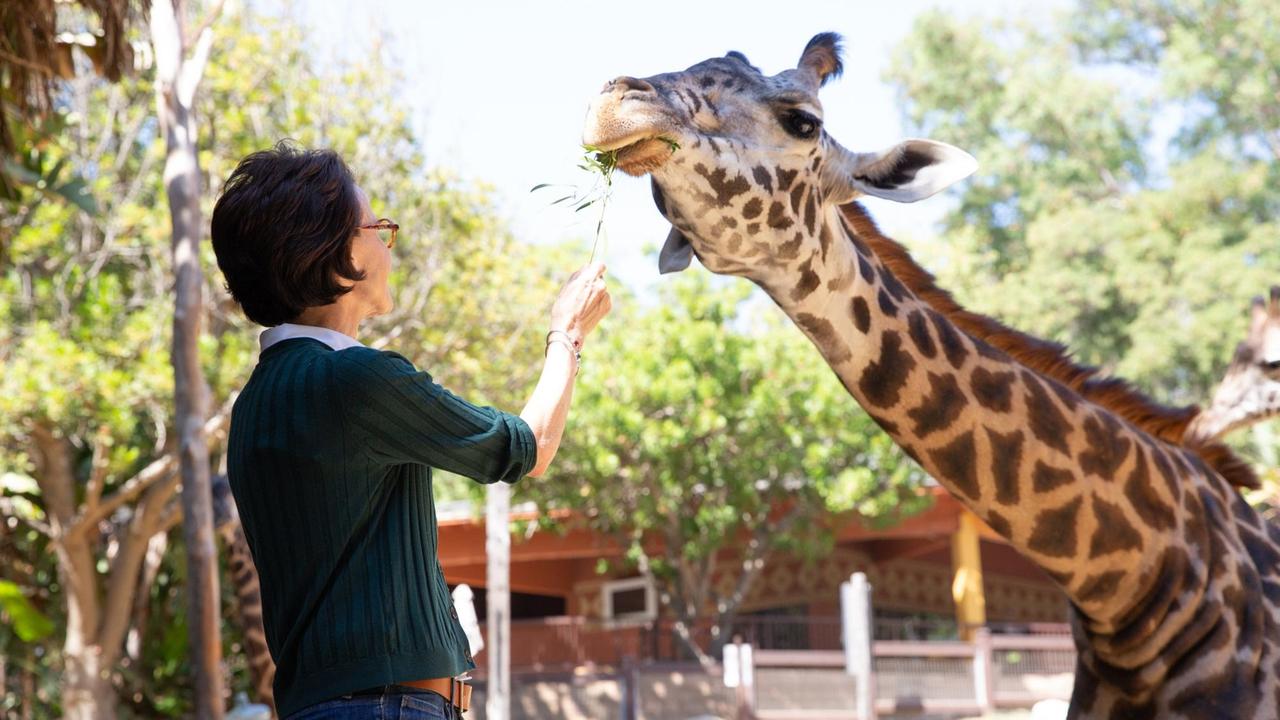Barbara Natterson-Horowitz füttert eine Giraffe im Los Angeles Zoo