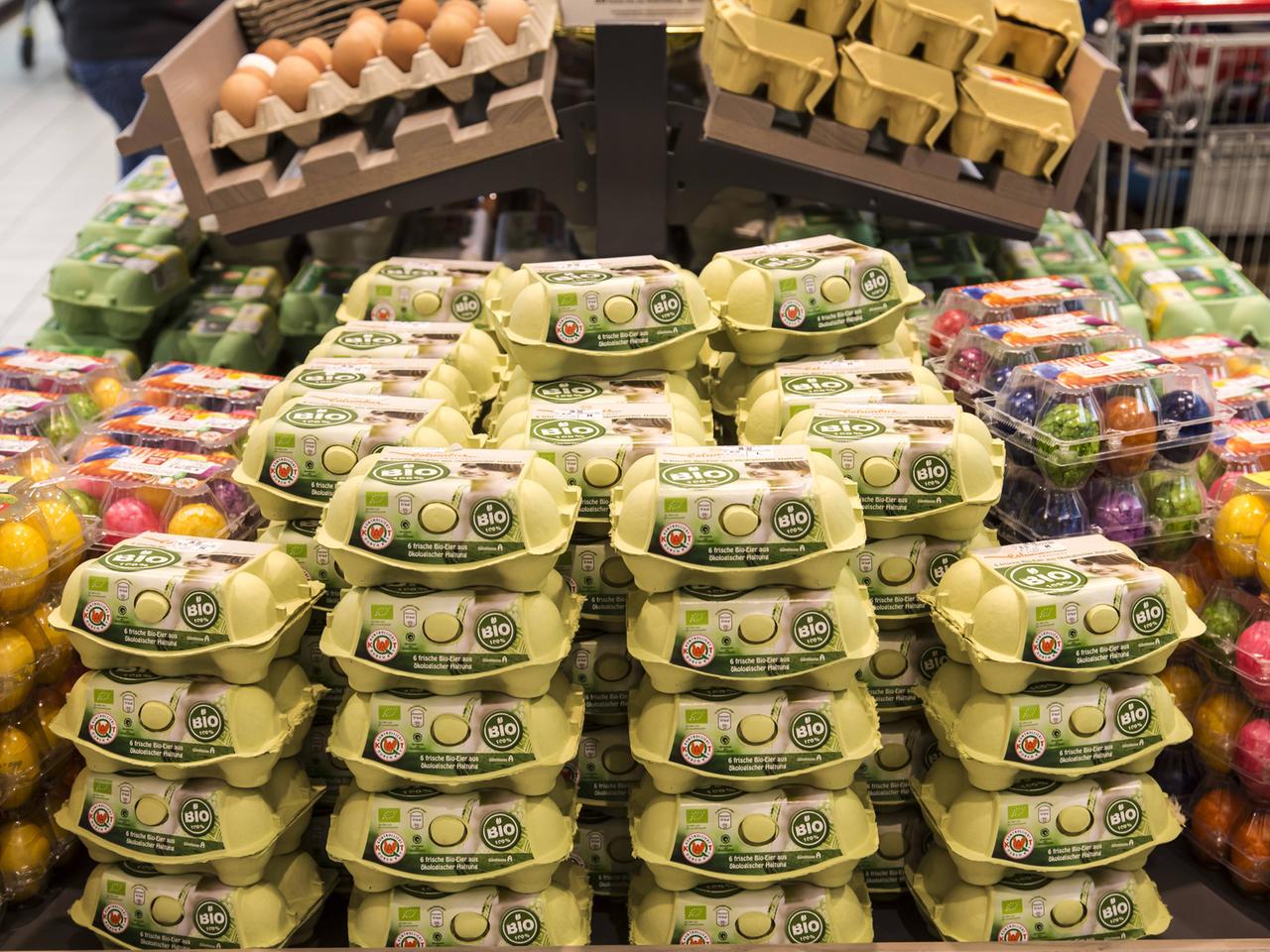 In einem Supermarkt stehen abgepackte Eier in einem Regal.