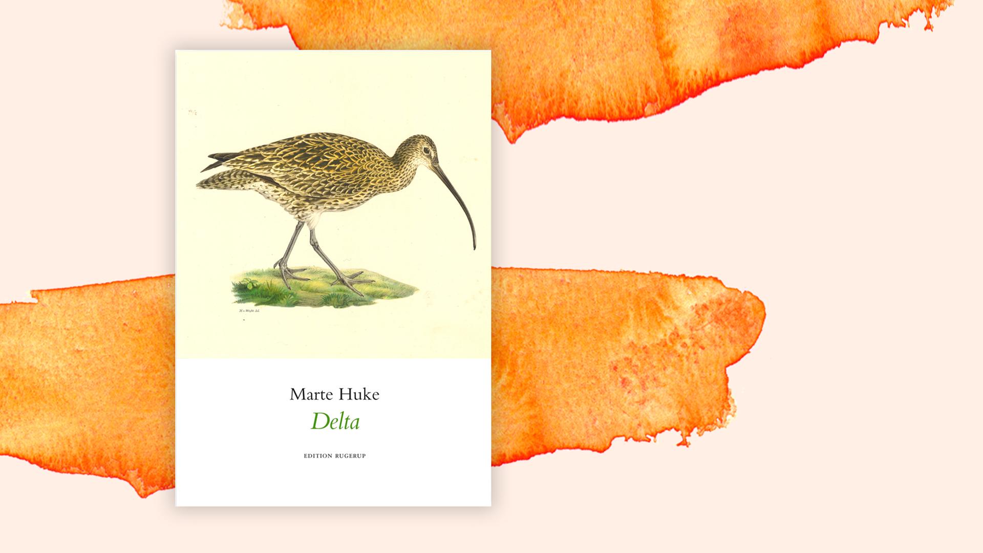 Das Cover zu Marte Hukes "Delta" vor einem orangenen Hintergrund