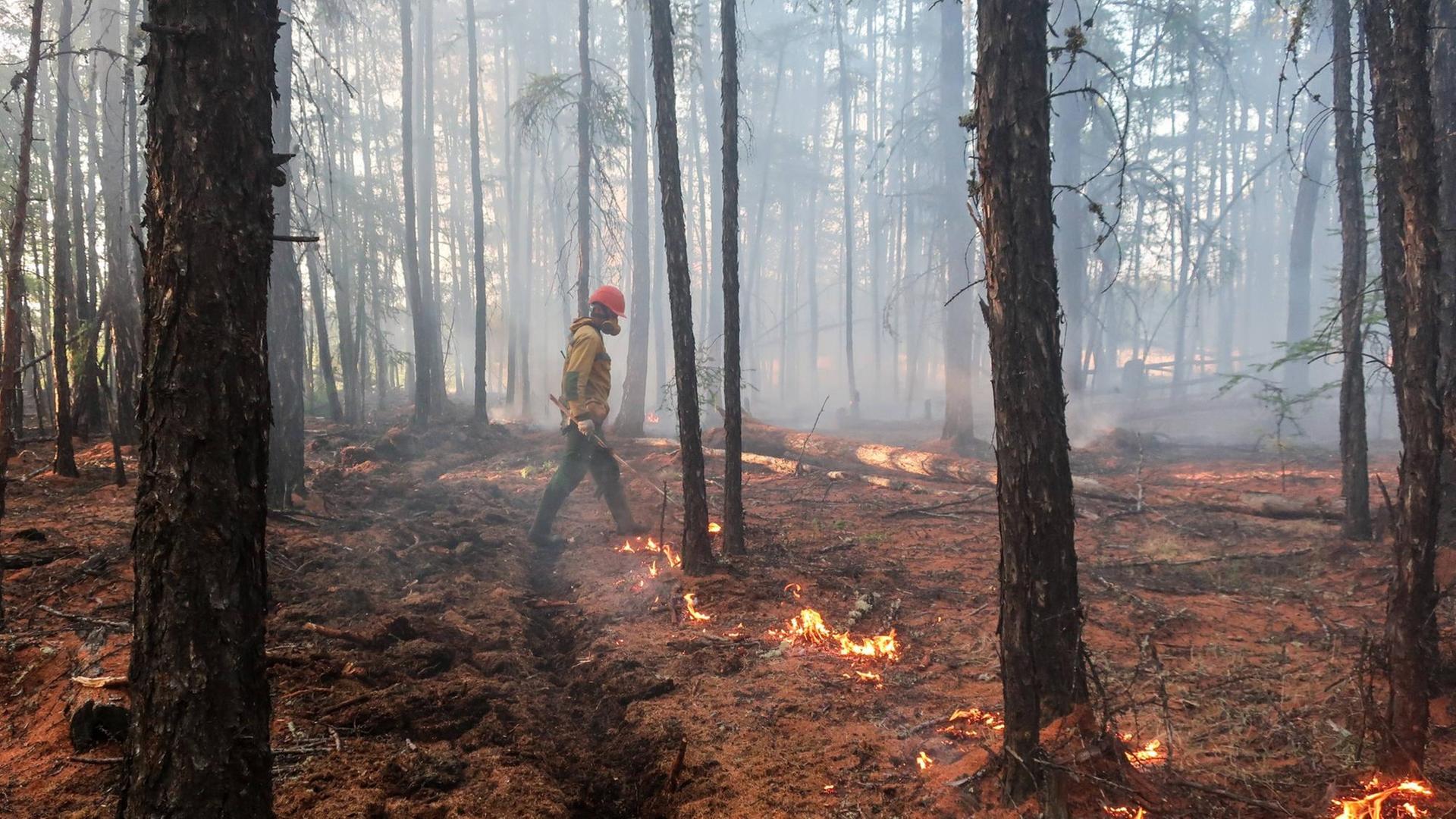 Ein Wald-Brand in der russischen Region Jakutien.