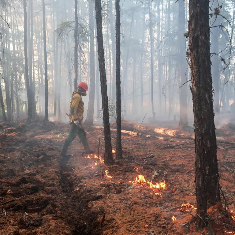 Waldbrand in Jakutien Anfang Juni 2020.