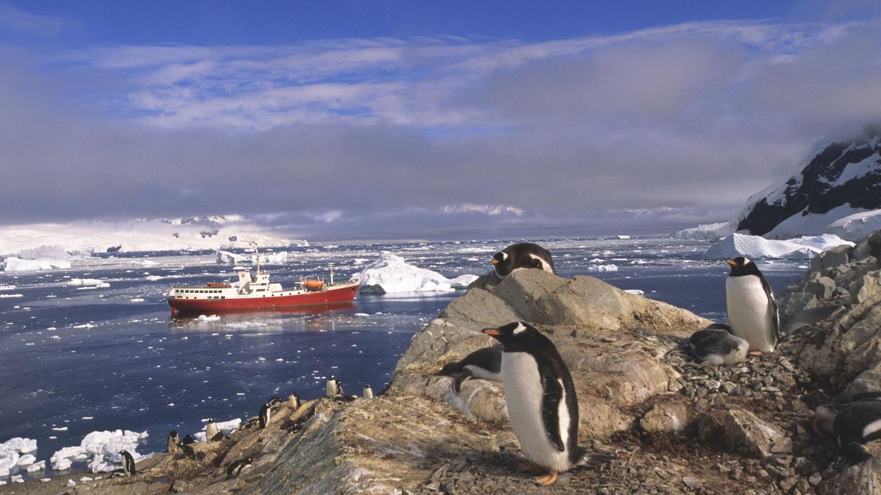 Meeresbiologe Boris Culik - Was können wir von Pinguinen lernen?