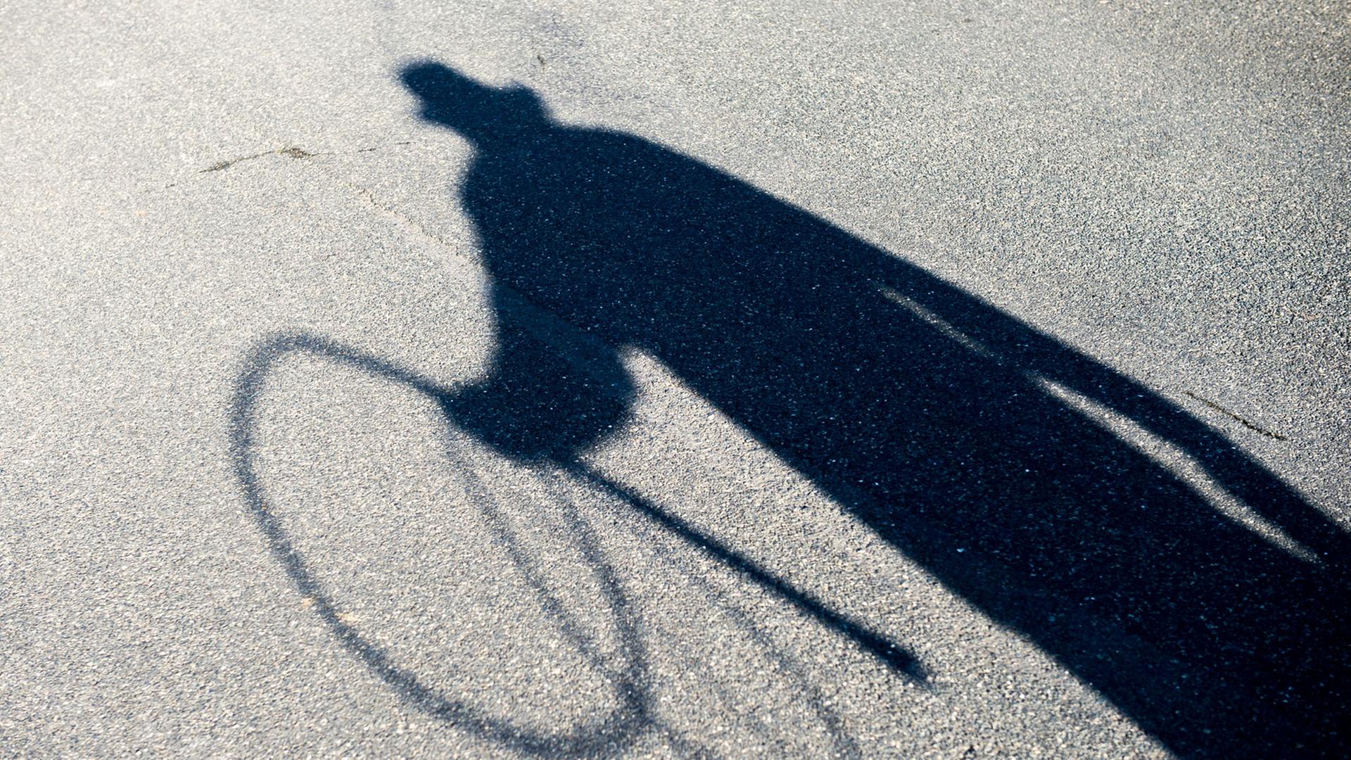 Der Schatten eines Peitschenmachers ist am 06.02.2015 auf dem Asphalt in Isenbüttel (Niedersachsen) zu sehen.