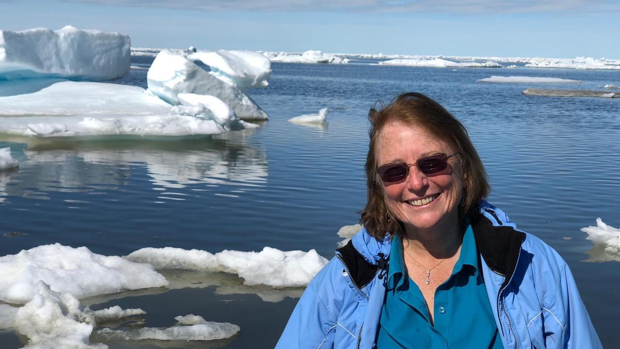 US-Chemie-Ingenieurin Leslie Field in Eisbergen in der Arktis bei Tests für ihr "Arctic ICE Project", das die Reflektion der Sonnenenergie erhöhen soll.