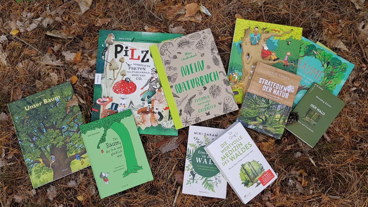 Eine kleine Auswahl verschiedenster Bücher zum Thema Wald liegt im Laub.