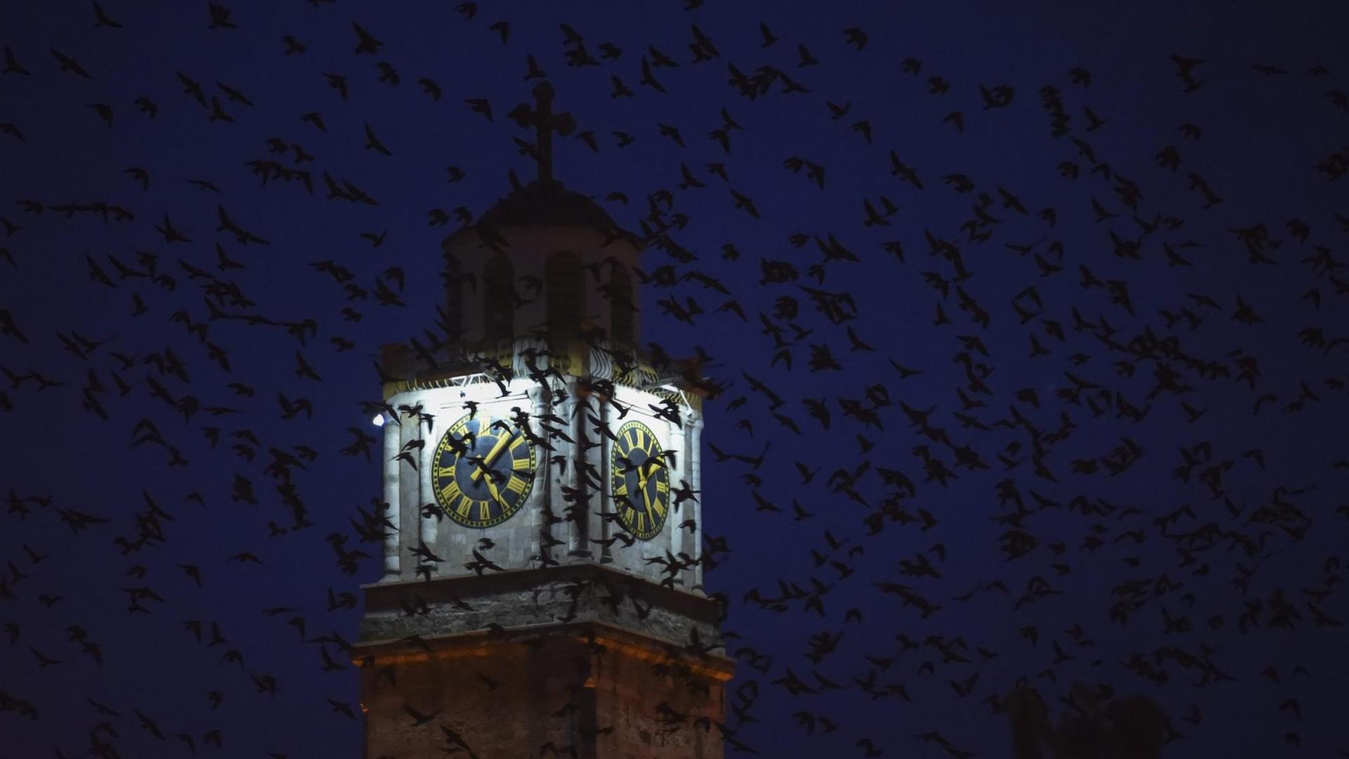 Vögel fliegen neben einem Kirchturm in Bitola, Mazedonien