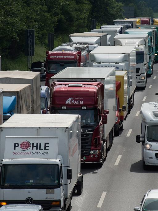 LKW und Autos stehen auf der vollgesperrten Autobahn 7 bei Hannoversch Münden an der Landesgrenze von Niedersachsen und Hessen.