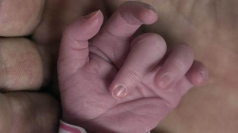 Zerbrechlichkeit trifft auf Behutsamkeit - das Händchen eines frühgeborenen Kindes.