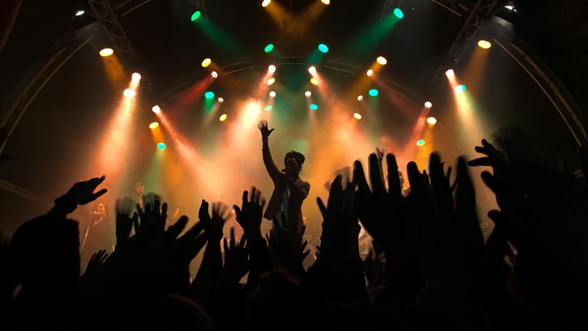 Konzertszene: Im Vorderung des Bildes sieht man viele dicht stehende Konzertbesucher, die ihre Hände in die Höhe heben. Im Hintergrund sieht man einen Sänger auf der Bühne, sein Auftritt wird von buten Scheinwerfern beleuchtet.