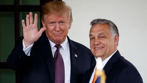 Das Bild zeigt US-Präsident Trump und Ungarns Ministerpräsident Orban.
