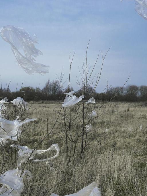 Umherfliegende Plastiktüten in der Landschaft