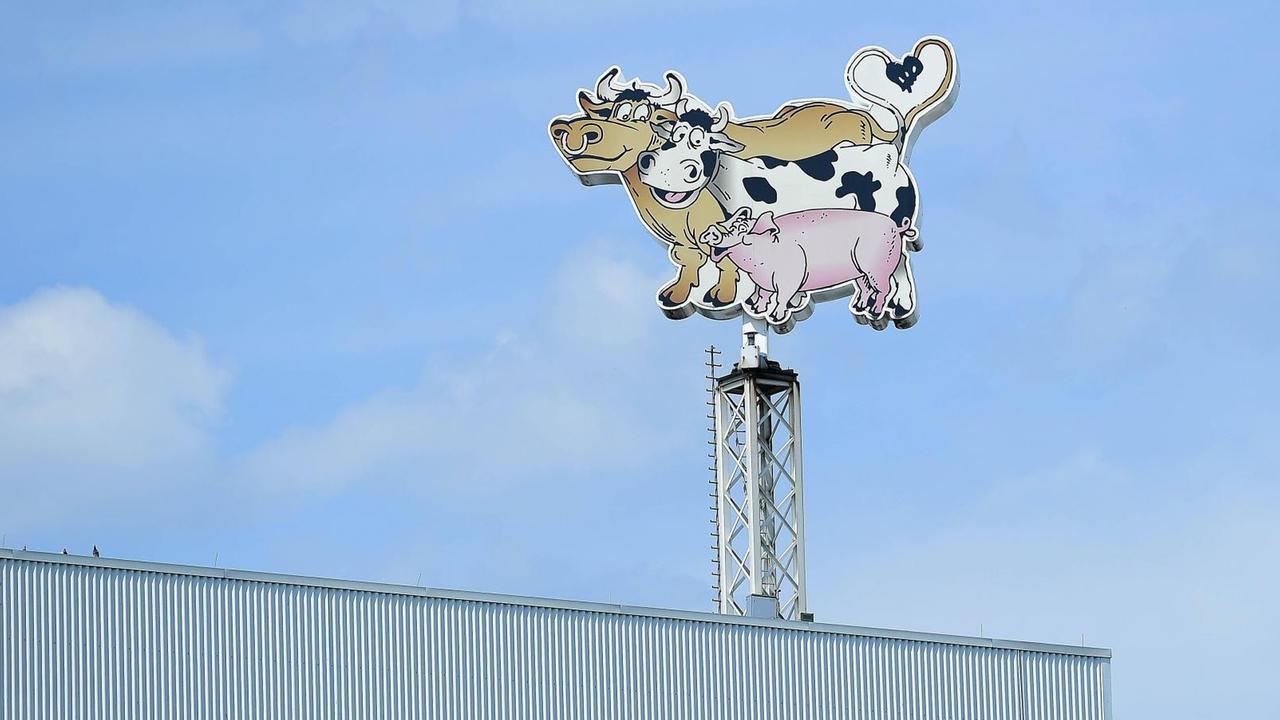 Amoxicillin billigste