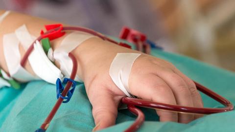 Ein junger Patient an der Dialyse im Werner-Forßmann-Krankenhaus in Eberswalde