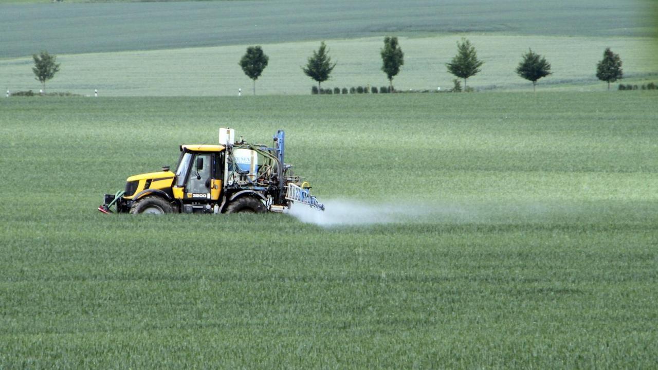 Ein Traktor spritzt in Thüringen auf einem Feld im Mai Pflanzenschutzmittel auf.
