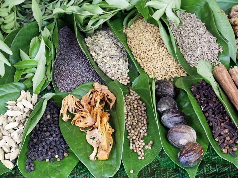 Ayurvedische Kräuter und Gewürze, aufgenommen in Sri Lanka